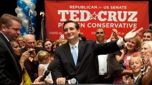 Ted Cruz, Texas, Senate, Dewhurst